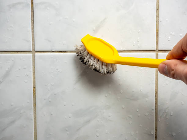 Best Attic Mold Removal  in Laguna Woods, CA