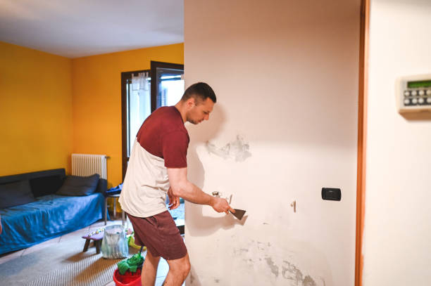 Best Affordable Mold Removal  in Laguna Woods, CA